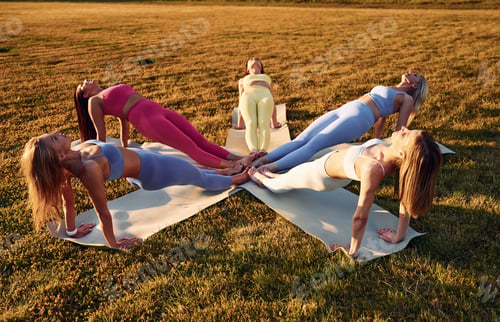 Preview: Doing upward plank. Group of women have fitness outdoors on the field together