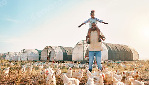 Preview: Chicken, farming and family with fun outdoor for sustainability growth and agriculture. Dad, child
