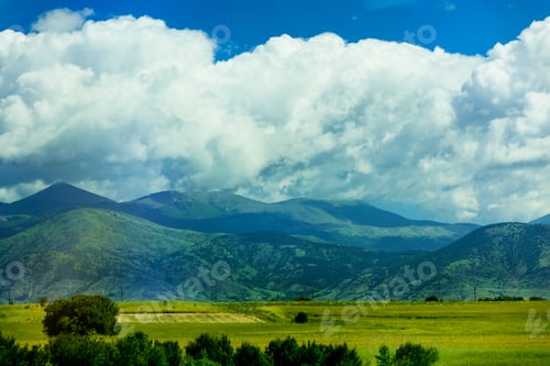 Preview: photo of the field