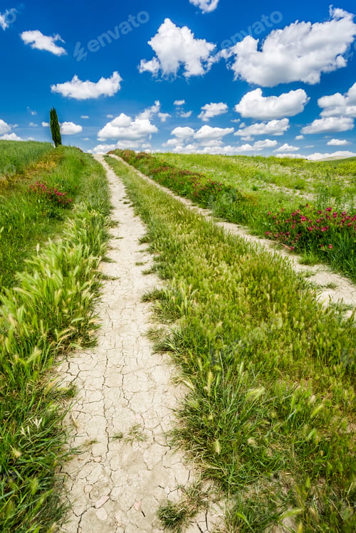 Preview: Dirt road between green hills in Tuscany