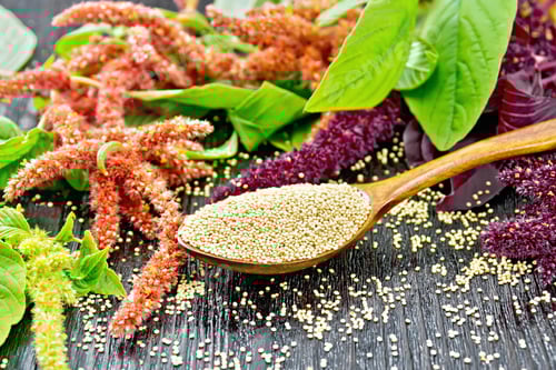 Preview: Quinoa Seeds with Colorful Amaranth and Wooden Spoon