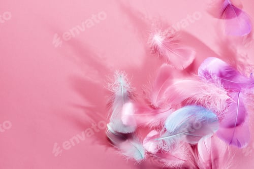 Preview: Abstract background with soft pink feathers and shadows, Flat lay, copy space.