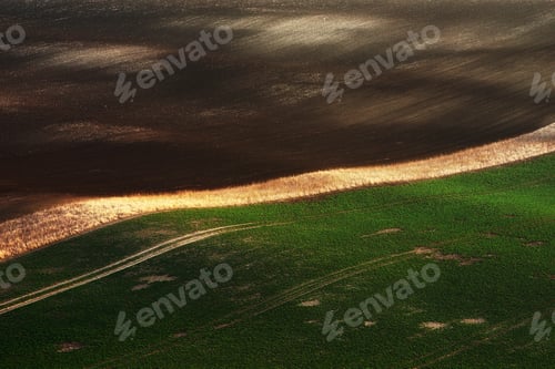 Preview: Detail of green fields with beautiful striped hills. South Moravia region, Czech republic