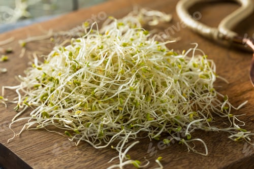 Preview: Raw Green Organic Alfalfa Sprouts