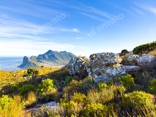 Preview: Hout Bay Coastal mountain landscape with fynbos flora in Cape Town