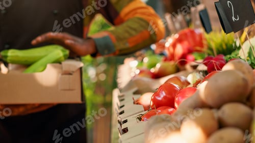 Preview: Young business owner putting natural produce in box