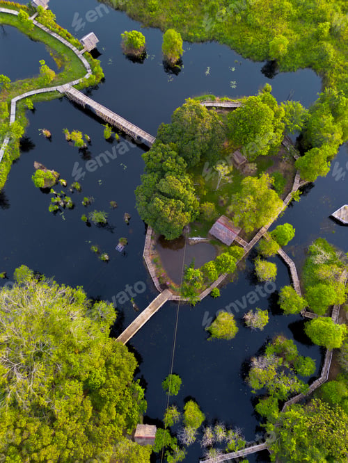 Preview: the beauty of Indonesia with mangrove forests and beaches at sunset