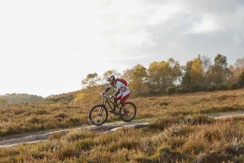 Preview: Male mountain biker biking down moorland track
