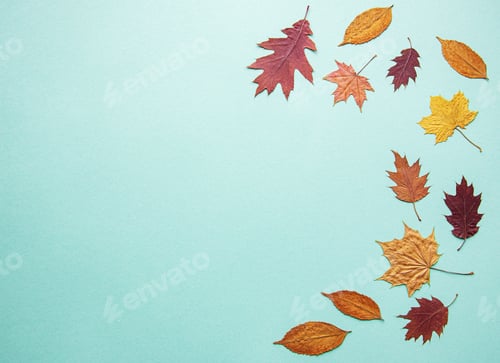 Preview: Autumn composition