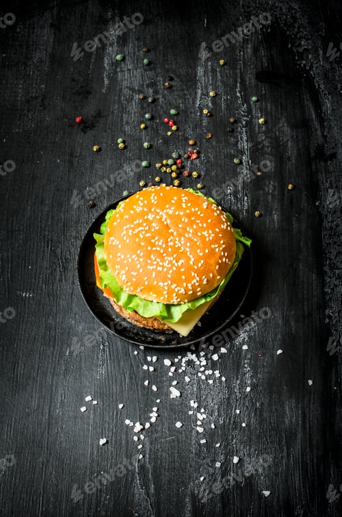 Preview: Hamburger with salt and pepper. Top view.
