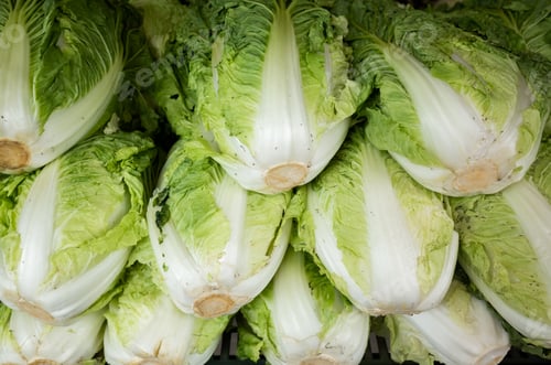 Preview: Chinese Cabbage On The Table At Traditional Marketplace, Taiwan
