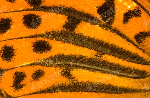 Preview: Butterfly pattern