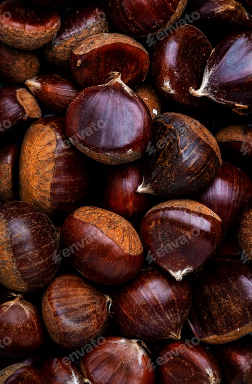 Preview: Fresh edible chestnuts, autumn harvest, top view