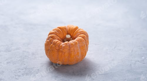 Preview: a mini orange ugly rotten pumpkin on a blue gray background