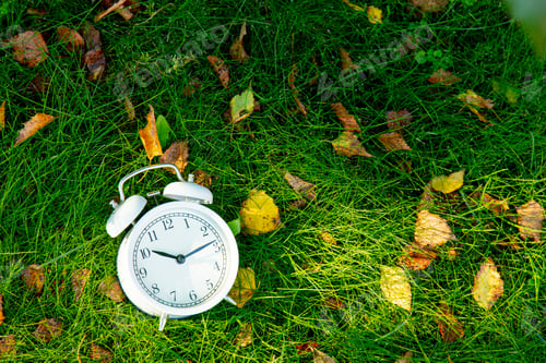 Preview: White alarm clock with autumn leaves on green grass