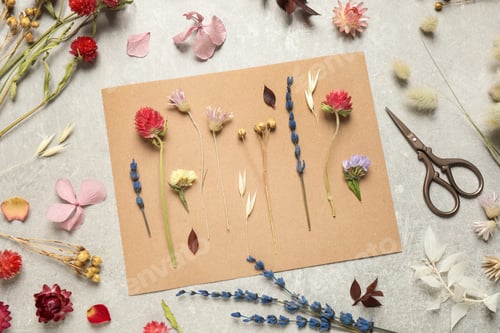 Preview: Flat lay composition with beautiful fresh and dry flowers on light grey background