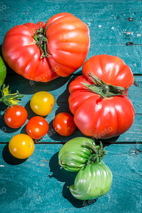 Preview: Fresh tomatoes in garden