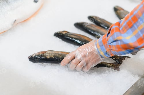 Preview: Man's Hand choosing fish for cooking