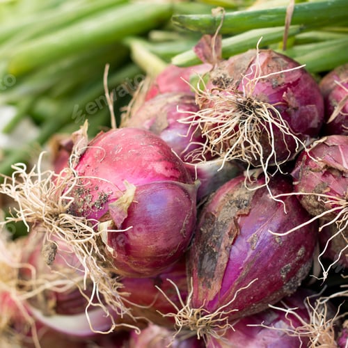 Preview: Red onions on a market