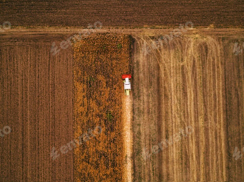 Preview: Aerial view of combine harvesting corn field