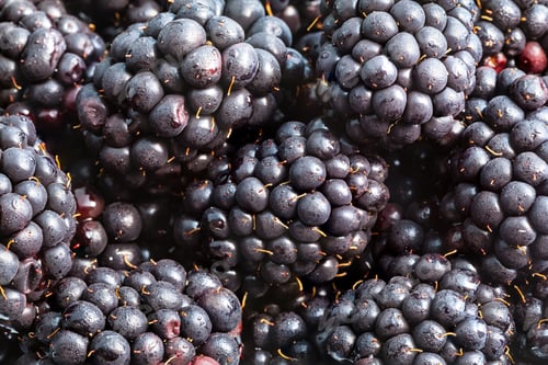 Preview: many ripe fresh blackberries close up