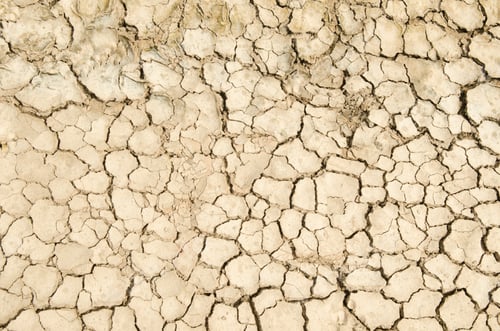 Preview: Dry Cracked Earth in a Desert Landscape