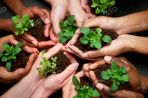 Preview: Our precious earth. Shot of a group of people each holding a plant growing in soil.
