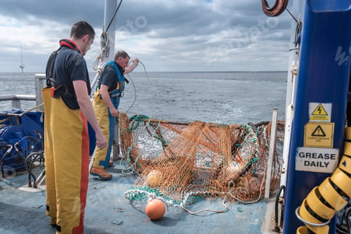 Preview: Research scientists on deck of research ship with trawler net