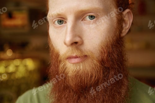 Preview: Cropped view of handsome 25-year old freelancer with long red beard, moustache and freckled skin wea