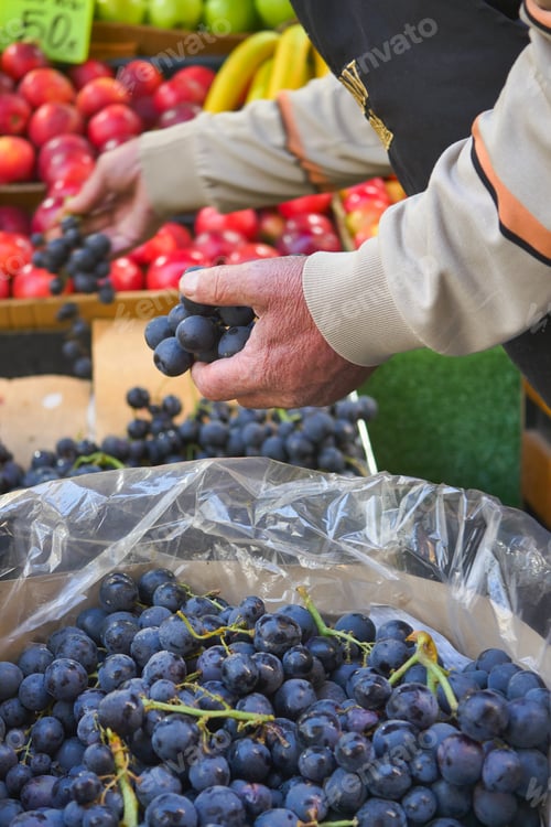 Preview: Fresh Grapes Now Available at the Local Farmers Market CloseUp Shot of Delicious Fresh Produce