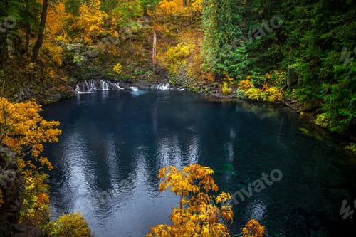 Preview: Tamolitch Blue Pool At Mc Kenzie Pass In Oregon