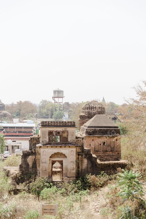 Preview: Ancient stone structure surrounded by trees and shrubs in Orchha Fort in India
