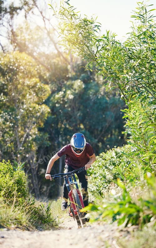Preview: Forest, race and man cycling in training for a race competition on biking path, trail or nature. Ac