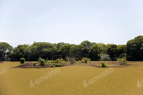 Preview: Costanera Sur in Buenos Aires