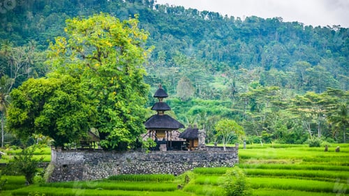 Preview: An Temple between Lush Green of Rice tarrace in Sidemen, Bali, Indonesia