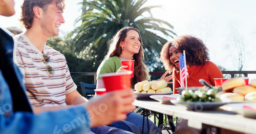 Preview: Friends, group and independence day outdoor with food, drinks and talking of happy international ho