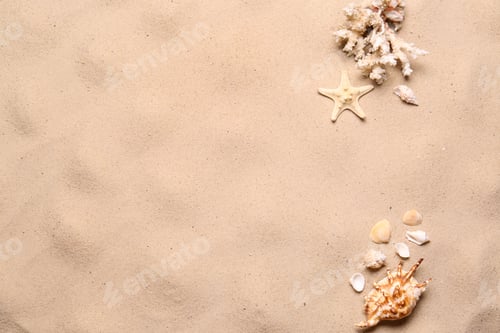 Preview: Flat lay composition with seashells on sand beach, space for text. Summer vacation