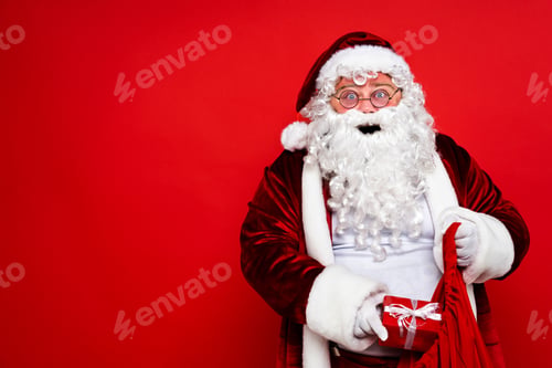 Preview: Funny Santa Claus portrait