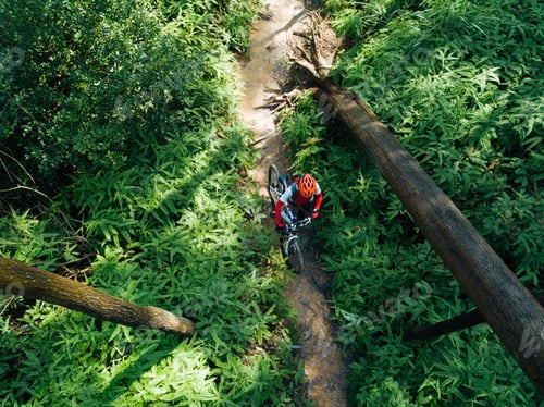 Preview: Aerial view of cross country biking in summer rainforest
