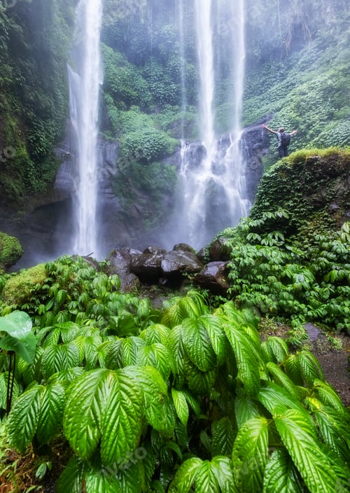 Preview: Waterfall in the Indonesia. Natural tropical landscape at the summer time.
