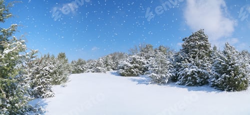 Preview: Winter nature landscape