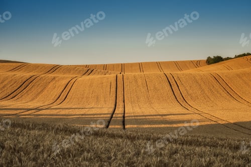 Preview: Earth waves background in South Moravia