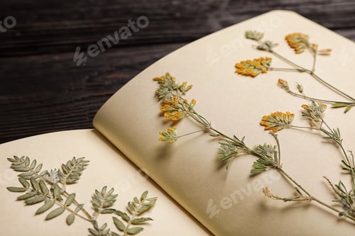 Preview: Wild dried meadow flowers in notebook on table, closeup