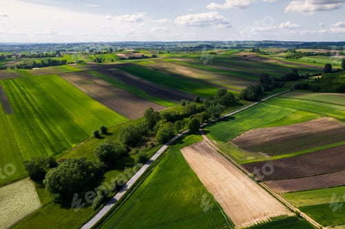 Preview: Colorful rural Landscape at Spring. Agriculture Crop Pattern.Drone View.