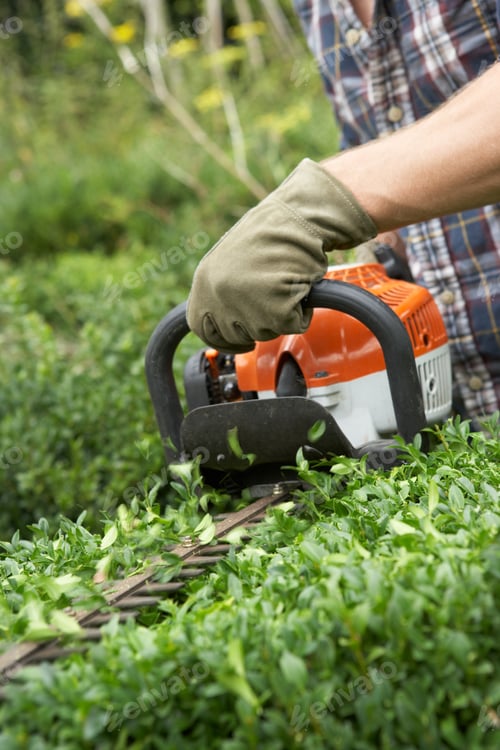 Preview: Man trimming hedge