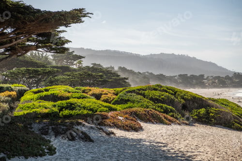 Preview: Carmel by the Sea California Beach