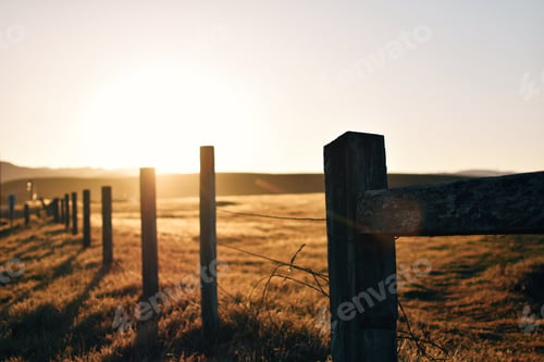 Preview: Wooden fence at pasture at sunrise