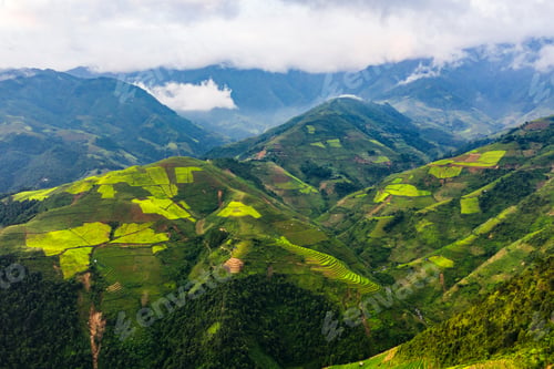 Preview: Paddy rice terraces, green agricultural fields in countryside of mountain hills valley, Vietnam.