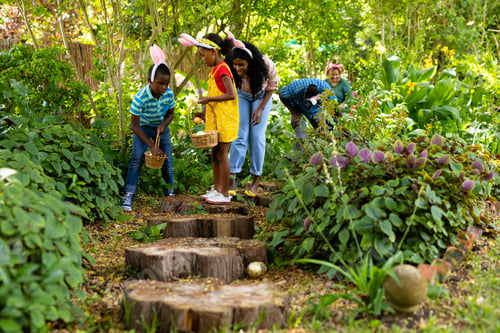 Preview: African american multi-generational family wearing bunny ears hiding easter eggs in backyard