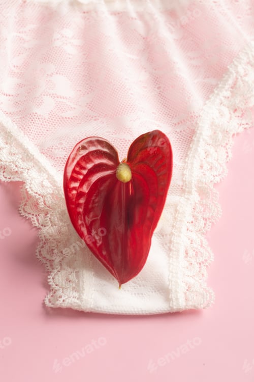Preview: The concept of the reproductive organs of a woman, the vagina in the form of panties.